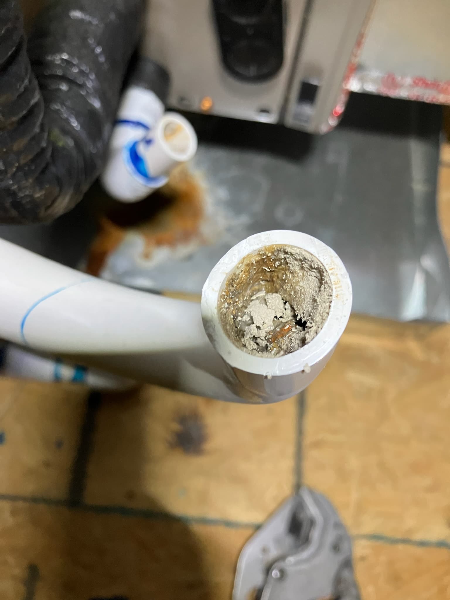Clogged condensate drain pipe from an HVAC system.